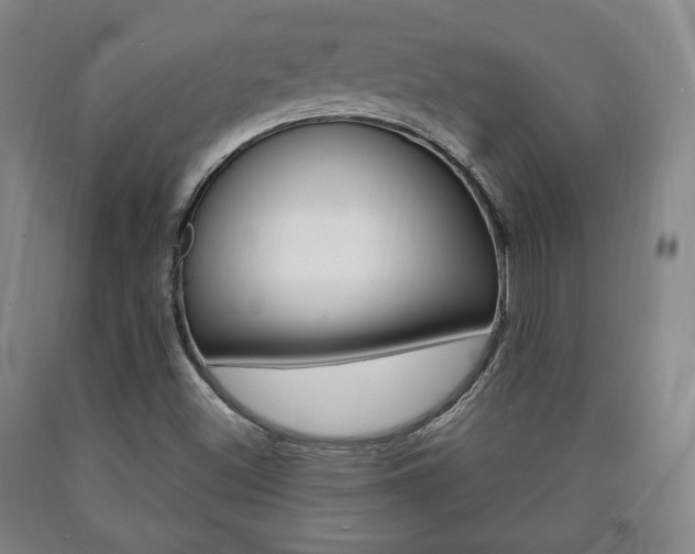 X0000090901500200707301000