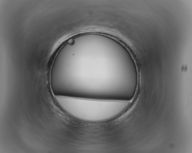 X0000090901501200707301000