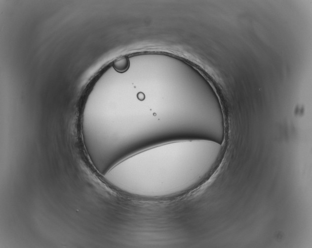 X0000090901502200707301000