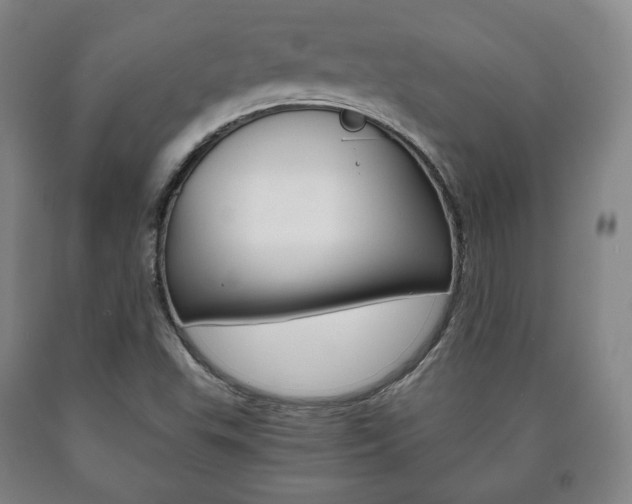 X0000090901503200707301000
