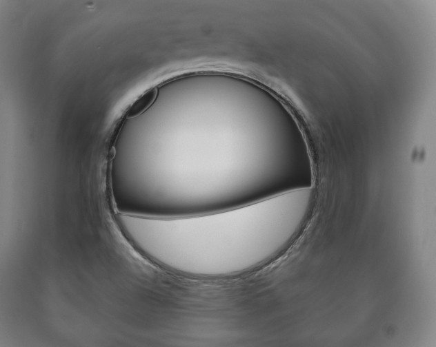 X0000090901504200707301000