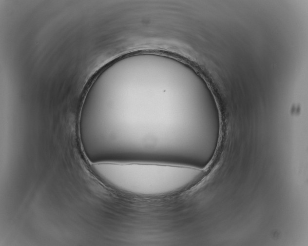 X0000090901505200707301000