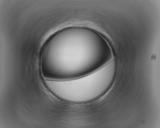 X0000090901506200707301000