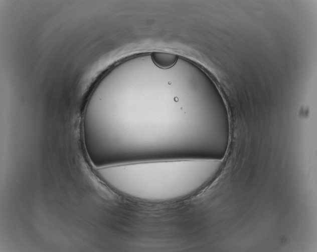 X0000090901507200707301000