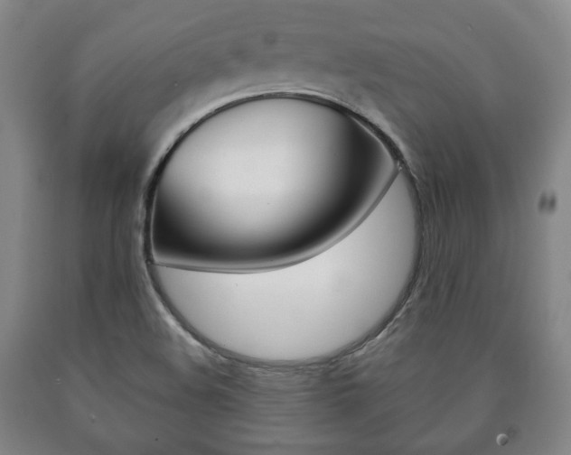 X0000090901508200707301000