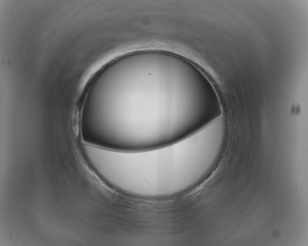 X0000090901510200707301000
