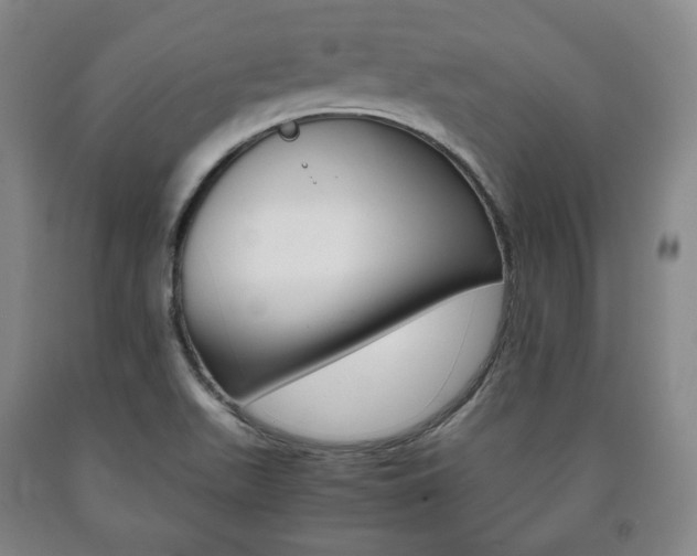 X0000090901511200707301001