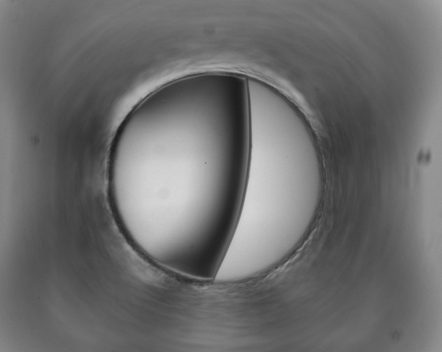 X0000090901512200707301001