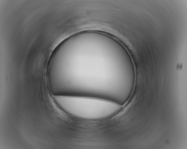 X0000090901513200707301001