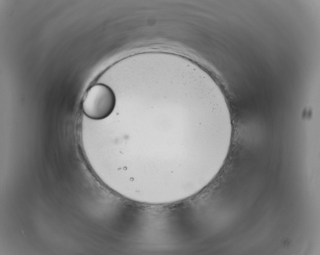 X0000090901514200707301001
