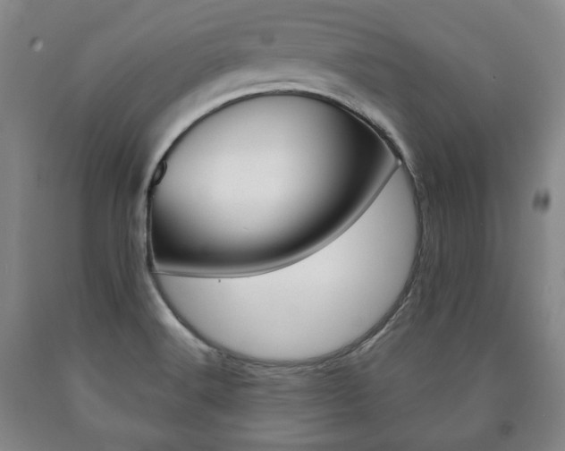 X0000090901516200707301001