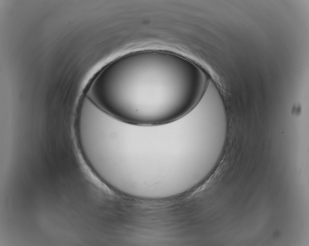 X0000090901518200707301001