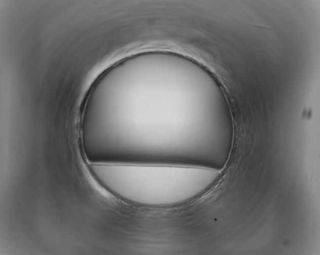 X0000090901519200707301001