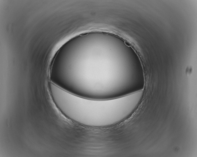 X0000090901520200707301001