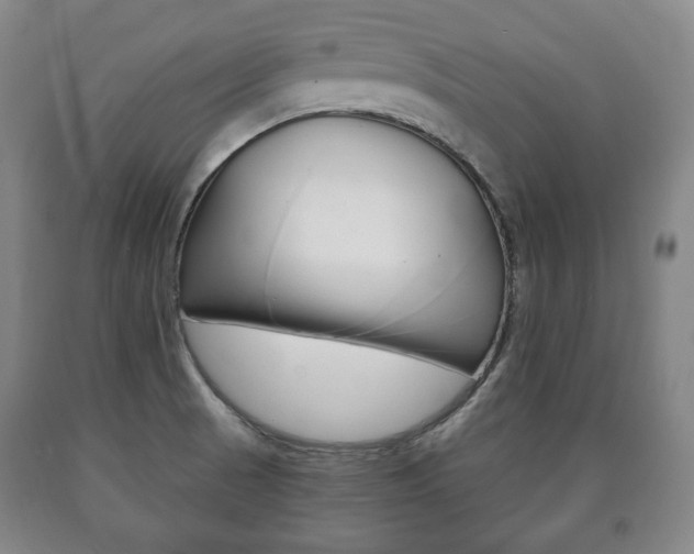 X0000090901521200707301001