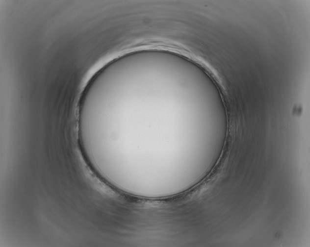 X0000090901522200707301001