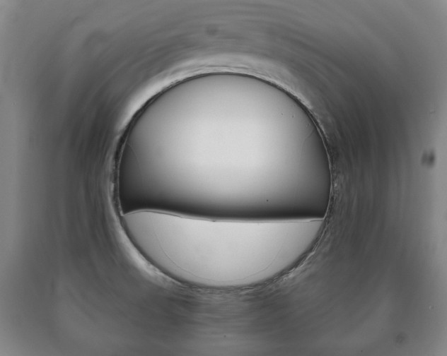 X0000090901523200707301001