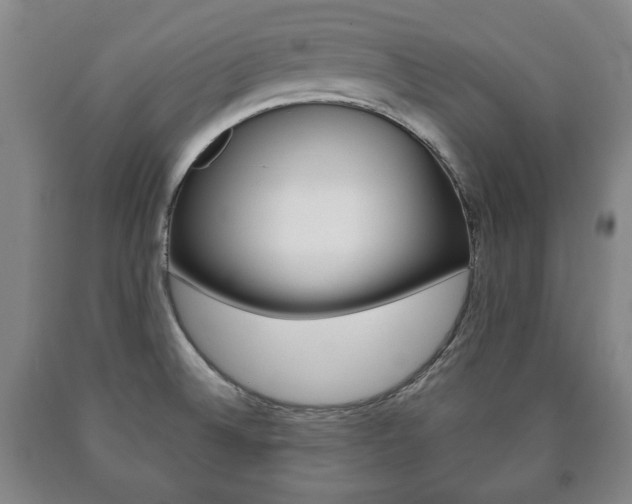 X0000090901524200707301001