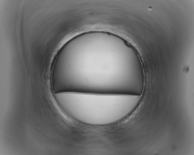 X0000090901525200707301001