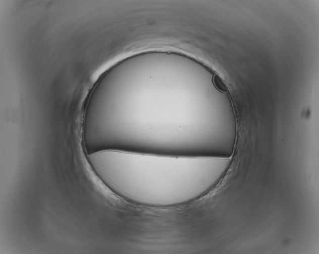 X0000090901526200707301001