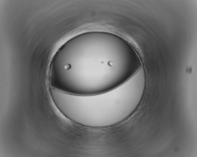 X0000090901528200707301001