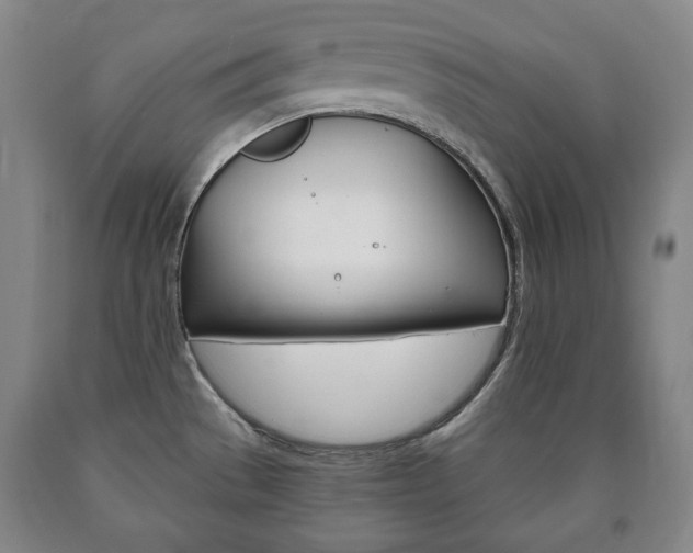 X0000090901529200707301001
