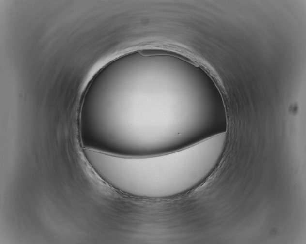 X0000090901530200707301001