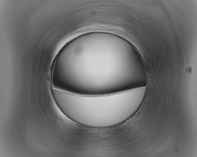 X0000090901531200707301001