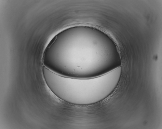 X0000090901532200707301001