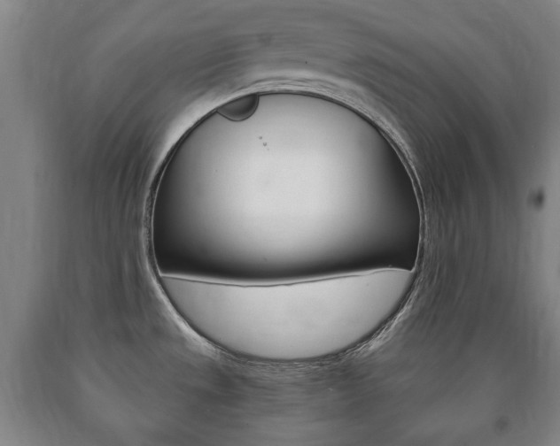 X0000090901533200707301001