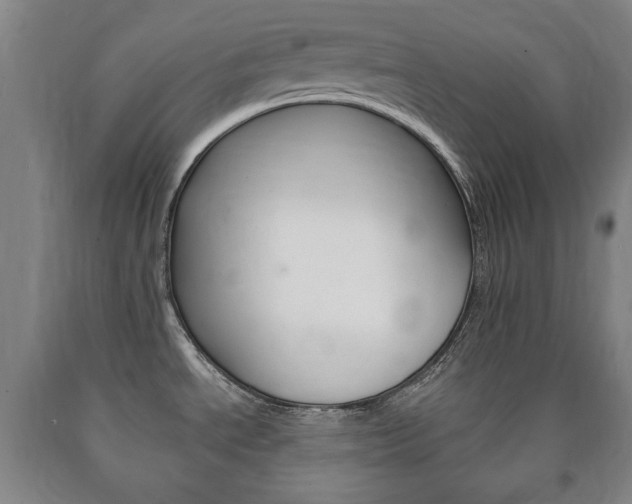 X0000090901534200707301001