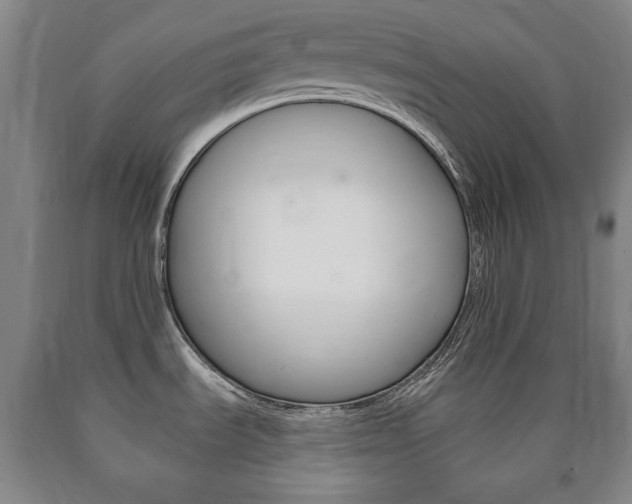 X0000090901535200707301001