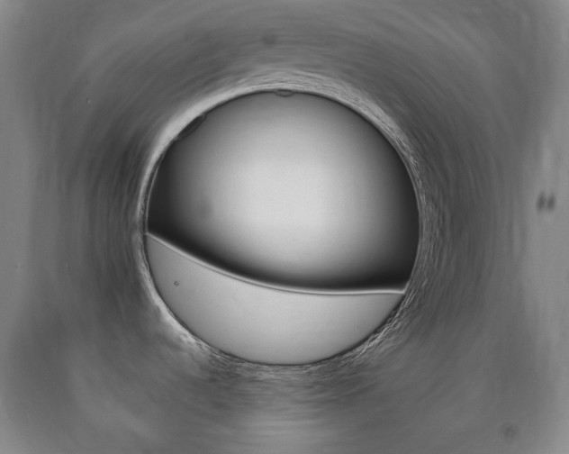 X0000090901536200707301001