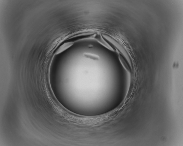 X0000090900001200707301423