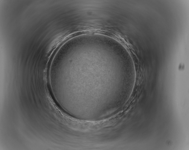 X0000090900002200707301423