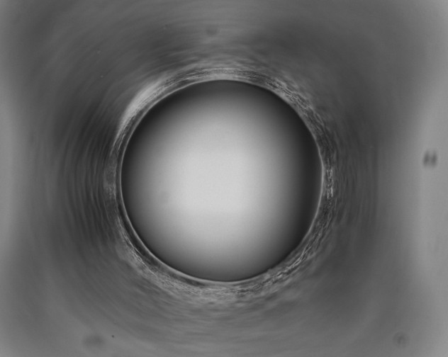 X0000090900004200707301423