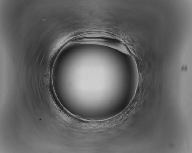 X0000090900005200707301423