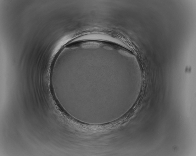 X0000090900006200707301423