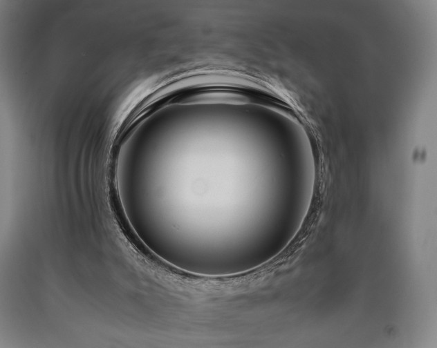 X0000090900007200707301423