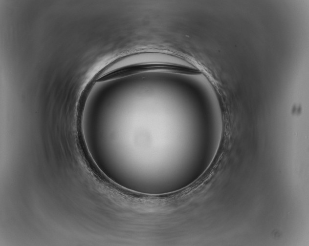 X0000090900008200707301422