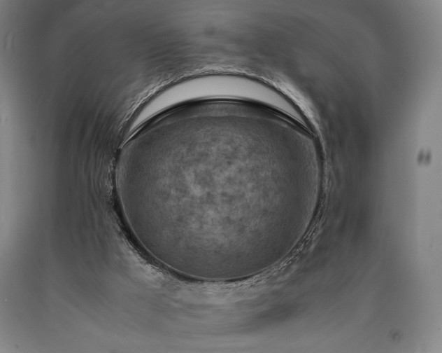 X0000090900009200707301422