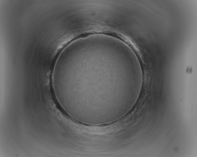 X0000090900010200707301422