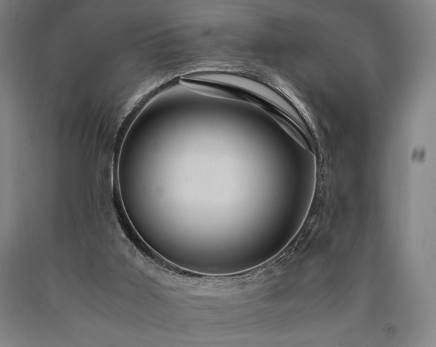 X0000090900011200707301422