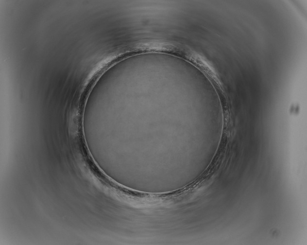 X0000090900012200707301422