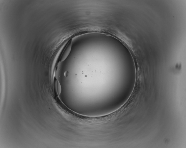 X0000090900013200707301422