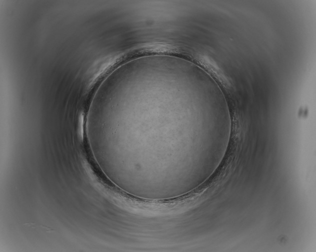X0000090900014200707301422