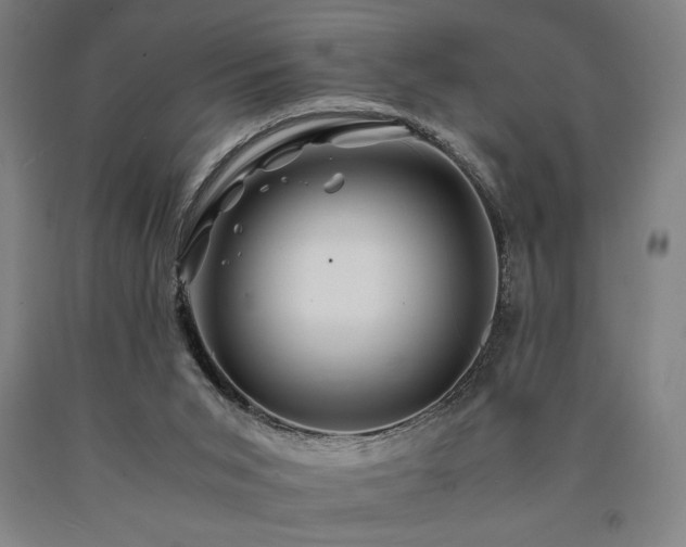 X0000090900015200707301422