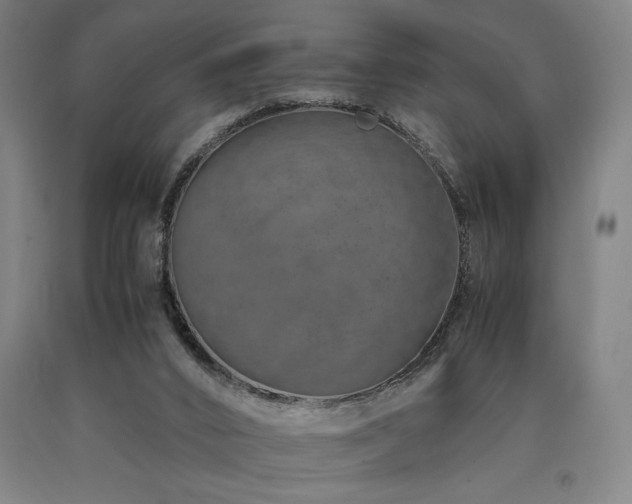 X0000090900016200707301422