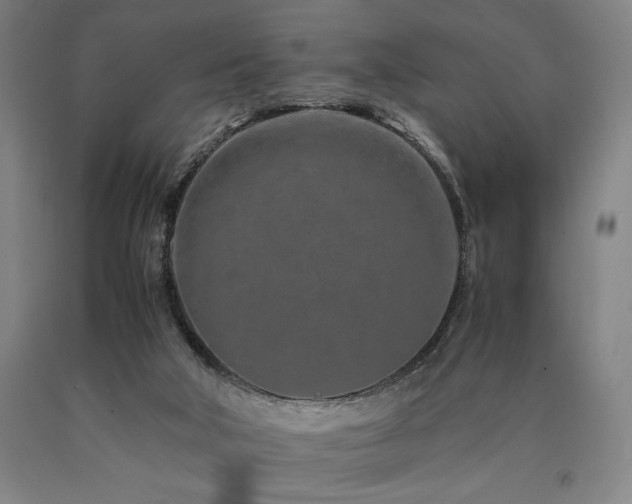 X0000090900018200707301422