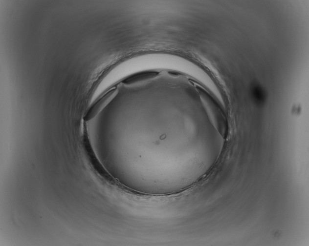 X0000090900019200707301422